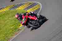 Middle Group Red Bikes